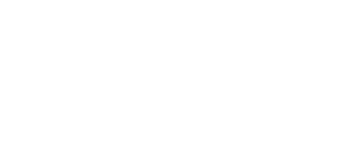 Nubrick Partners